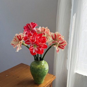 <span class=keywords><strong>Fleur</strong></span> artificielle d'amarille à toucher réel, tige rouge et <span class=keywords><strong>blanche</strong></span> rayée, fausse <span class=keywords><strong>fleur</strong></span> pour la décoration de la maison, des tables de mariage, des vases et comme accessoire de photographie - Product Image 4