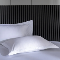 Parure de lit de luxe rayée personnalisée en satin de coton pur blanc, 4 pièces, 300 fils, tissée, respirante, moderne, toutes saisons