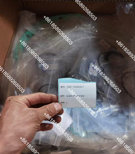 CX31-1502233-1 Sealing gasket kit and oil sealSealing gasket kit and oil <b>seal</b> - Product Image 1