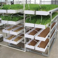 Plateaux de culture de fourrage vert orge hydroponique commerciale Système de gouttière de fourrage hydroponique