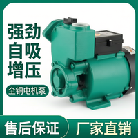 Pompa AC rumah tangga otomatis penuh 220v pompa self-priming otomatis