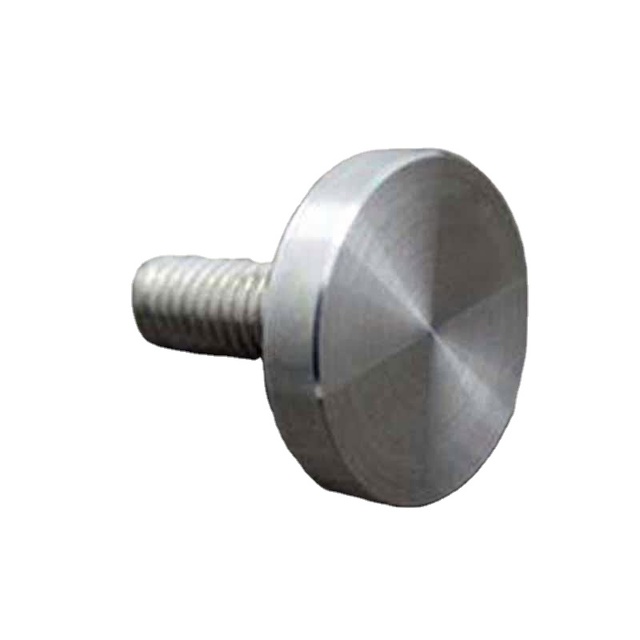 Chinese Fastener Manufacture Beautiful Matte Mirror Decorative Screws for Glasses