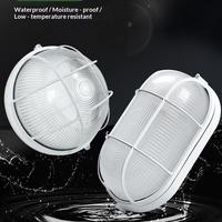 Lumière LED anti-explosion, anti-humidité, anti-poussière, étanche pour entrepôt, usine, extérieur, salle de bain, sous-sol, plafond - 110-240V