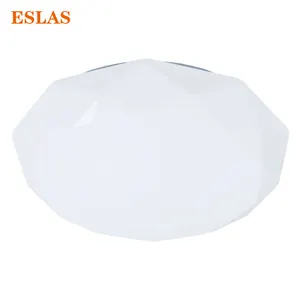 Eslas Custom Steel Base PMMA Cover IP20 Driver Included Motion Sensor Dimmable Wifi Smart LED Ceiling Lamp for Residential