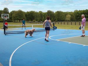 Professional XUANTA BXP-1 Procourt Pickleball Net System 22FT Training Children Adults Oval Steel Tube Poles Carry Bag All - Product Image 4
