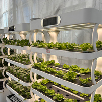 Machine hydroponique domestique de type armoire -- Système spécifique à l'intérieur pour la culture et la plantation de semences de légumes à feuilles