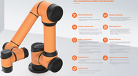 Robot collaboratif AUBO-i5 6 axes de haute qualité, à faible coût, pour le collage et le scellage automatique du verre, 5 kg, PLC, en acier inoxydable