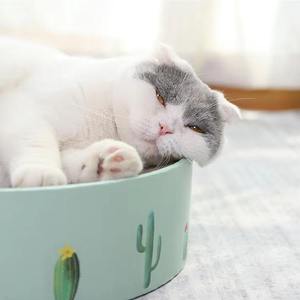 Tempat Garukan Kucing Bulat dari Karton Bergelombang, Desain Motif Kaktus Lucu untuk Kucing di Dalam Ruangan, Promo Hot <span class=keywords><strong>Sale</strong></span> - Product Image 4