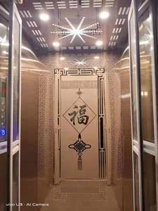 होम लिफ्ट के लिए मलायासिया में होम लग्जरी लिफ्ट लिफ्ट - Product Image 5