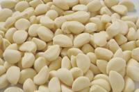KR-Small Knoflook Schilmachine Nieuwe Fruit & Groente Schilmachine Schilmesje tegen een scherpe prijs