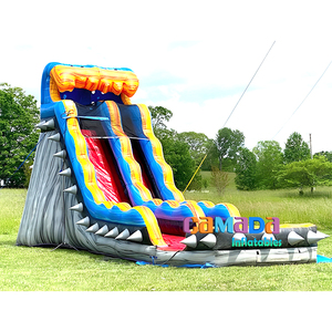 Adult Waterslide Inflatable Commercial Inflatable Water <b>Slide</b> <b>Swimming</b> <b>Pool</b> Water <b>Slides</b> Inflatable for Sale - Product Image 5