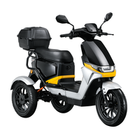 Scooter électrique à 3 roues en alliage d'aluminium 1000W, moteur sans balais, batterie au lithium étanche, autonomie de 110 km pour adultes et personnes âgées