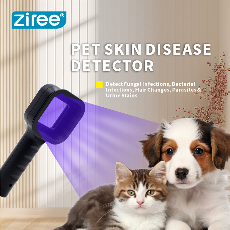 Home Blood Glucose Meter Veterinary Instrument