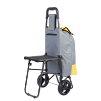 Sac portatif réutilisable de chariot à provisions pliant d'épicerie de légumes de supermarché avec la chaise