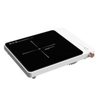 Table de cuisson à induction portable 2000W avec commande tactile et bouton rotatif, 9 niveaux de puissance, minuteur numérique pour la vente en gros d'appareils de cuisine thaïlandais