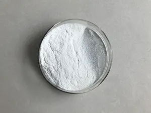 Hpmc Methyl Hydroxypropyl Cellulose Bulk Stock Carbopol Substitute HPMC Methyl Hydroxypropyl Cellulose