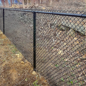 Proveedor de China, cercado de seguridad, cadena de malla, cercado de malla metálica, cercado de malla de alambre recubierto de Pvc, cercado de malla de alambre, cerca de red de alambre de acero - Product Image 4