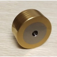130003173 130003174 Rouleau d'entraînement de fil EDM pour 290, 300, 310, 500 Compatible avec Charmille
