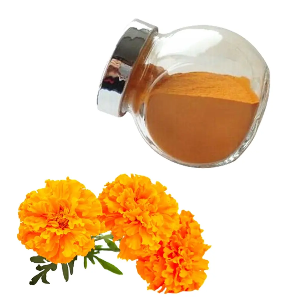 Raw Material Bulk Kosher Halal Oil Eye Protection Marigold Flower Extract 20% Esters Vitamin Lutein Zeaxanthin