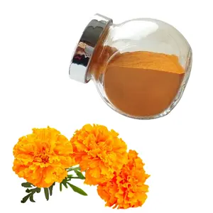 Bahan Mentah Kosher jumlah besar minyak Halal Perlindungan Mata bunga Marigold 20% ester Vitamin Lutein Zeaxanthin