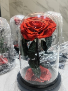 INUNION, de larga duración, preservadas para siempre, rosas eternas reales en cúpula de cristal con luz LED para regalo y <span class=keywords><strong>Festival</strong></span> - Product Image 6