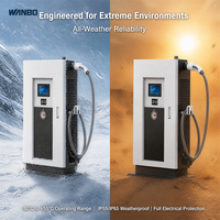 Borne de recharge rapide DC pour véhicules électriques Wanbo-585 100kW à une seule prise, 4G 5G WiFi, contrôle à distance via Cloud, CCS2 CE