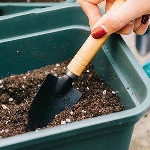 Ensemble de trois outils de jardinage en fer pour la plantation et le desserrage du sol, avec manches en bois, pour le jardinage à domicile - Product Image 4