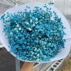 Flores Secas de Gypsophila Naturales Preservadas de Alta Calidad al por Mayor, 400 g, Regalo para el Día de San Valentín, Navidad, Decoración del Hogar - Product Image 4