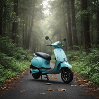 1000W Motorlu Elektrikli Motosiklet Ön Disk Arka Kampana Fren 3.00-10 Tubeless Lastik Yetişkin E Motosiklet