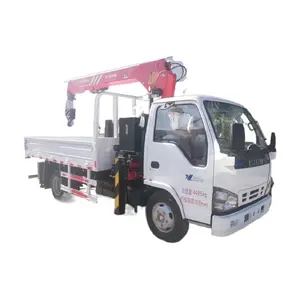 Japan Japanese 100P telescopic boom 2-5ton mini truck mounted crane sale