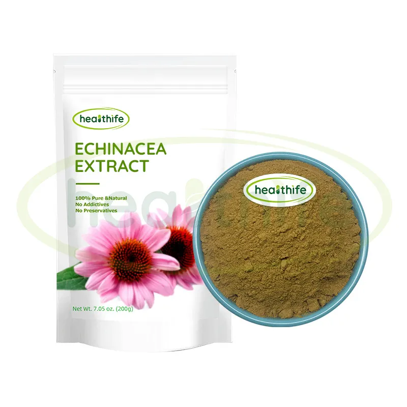 FocusHerb USA magazzino Echinacea Purpurea estratto in polvere 4% polifenoli