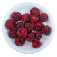 Premium gevriesdroogde waxberry hele vruchten bulk, gevriesdroogde bayberry fruit, rechtstreeks van de fabriek, groothandel gevriesdroogde bayberry