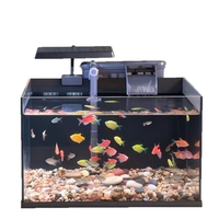 Aquarium de luxe en verre ultra-blanc avec système de filtration dissimulé pour l'aménagement aquatique et l'affichage en bijouterie