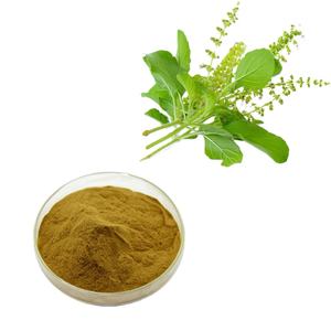 20 Jaar Fabriek Levering Heilige Basilicum Poeder Heilige Basilicum Extract Heilige Basilicum Poeder - Product Image 1