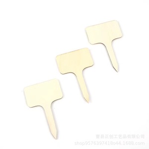 ป้ายไม้สำหรับติดกระถางต้นไม้ Zhengchuang ขนาด 10x6x0.3 ซม. รับทำโลโก้ตามสั่ง สำหรับกระถางไม้อวบน้ำ - Product Image 5