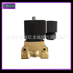 Válvula Solenoide Berg Baoju 644006301 AC 220 V Tipo Angular para Compresor de Tornillo - Product Image 2