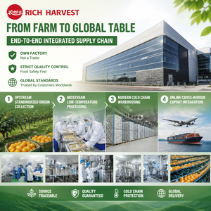 <span class=keywords><strong>Ail</strong></span> <span class=keywords><strong>noir</strong></span> fermenté vieilli à bulbe unique, prix usine de gros, approvisionnement en vrac, fabricant d'aliments sains, export 2026 - Product Image 6