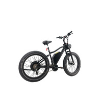 Vélo électrique à pneus larges 48V 1000W, 26 pouces, pour adultes, moteur à moyeu arrière, batterie au lithium, frein à disque
