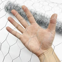 Grillage Métallique Hexagonal Galvanisé Tressé pour Clôture de Volaille, Bétail, Poulet, Canard, Oie
