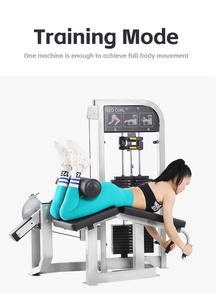 Máquina de <span class=keywords><strong>Curl</strong></span> de Piernas Comercial Cheernin, 175 kg, Acero de Alta Resistencia de 2.5 mm, Entrenador de Isquiotibiales para Gimnasio, Entrega DDP - Product Image 3