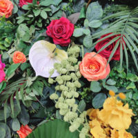 Mur de fleurs artificielles de haute qualité en tissu de soie pour la décoration d'événements de mariage, toile de fond murale de roses simulées