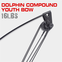 Arc composé pour enfants, de 16lb, tir à l'arc