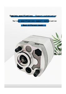 Zhengqaun <span class=keywords><strong>cbk</strong></span> loạt thủy lực bơm bánh răng tiếng ồn thấp điện chuyển dầu thủy lực bơm bánh răng thay thế tùy biến trong kho - Product Image 6