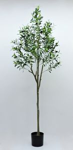 Vente en <span class=keywords><strong>gros</strong></span> de plantes artificielles haut de gamme à l'aspect réel <span class=keywords><strong>olivier</strong></span> artificiel en pot dans <span class=keywords><strong>un</strong></span> pot en plastique pour l'intérieur et l'extérieur - Product Image 2