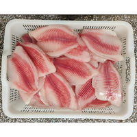 Filete de Tilapia Congelado a Granel, Proveedor de Filetes de Tilapia, Filetes de Tilapia a Precio de Mayoreo