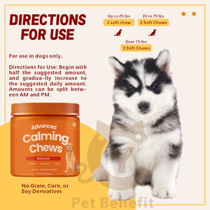 OEM Premium Advanced Calming Soft Chews L-Teanina Ashwagandha - Alivio Natural <span class=keywords><strong>para</strong></span> la Ansiedad, Absorción Rápida, Seguro <span class=keywords><strong>para</strong></span> <span class=keywords><strong>Perros</strong></span>, En Stock - Product Image 2