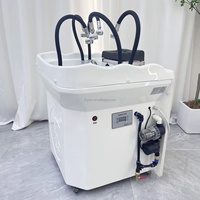 Lit de shampooing portable Adiustahle Thai 6D pour la thérapie capillaire, bac à shampooing pour spa capillaire, bac à shampooing mobile détachable