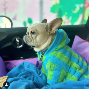 Pull en polaire rayé à capuche pour chien, idéal pour bouledogues français et pugs, parfait pour l'hiver et les voyages – Vente en gros - Product Image 1