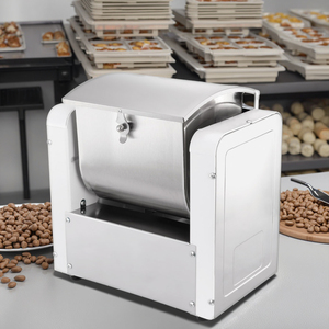 Batidora de masa comercial para pasta, nueva, 5kg, 2023, 2 - Product Image 5
