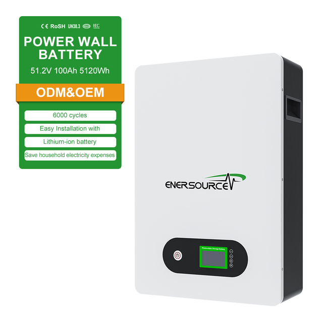 Tesla Powerwall System BMS Lifepo4 48V 5kWh Lithium Battery 100Ah Capacitor Home Energy Storage 48V 24V Solar Inverter MPPT 10KW
